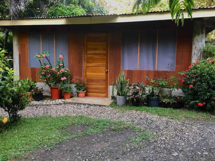 Apartament Casa Sol Puerto Jiménez Zewnętrze zdjęcie