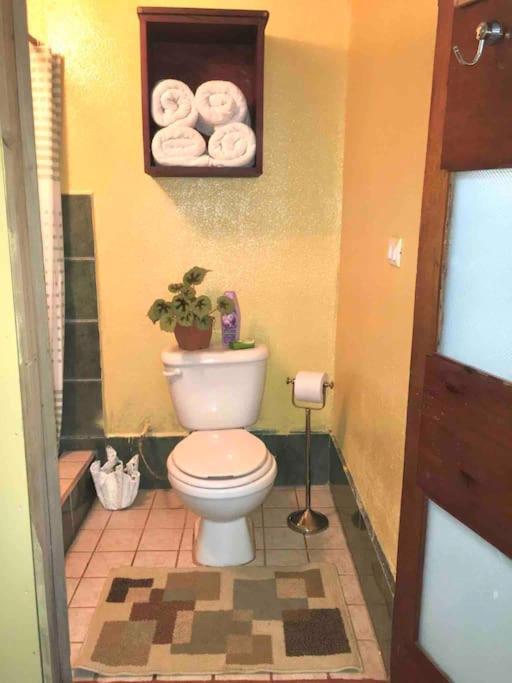 Apartament Casa Sol Puerto Jiménez Zewnętrze zdjęcie